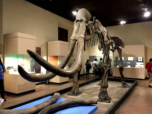 Museo regional de Guadalajara