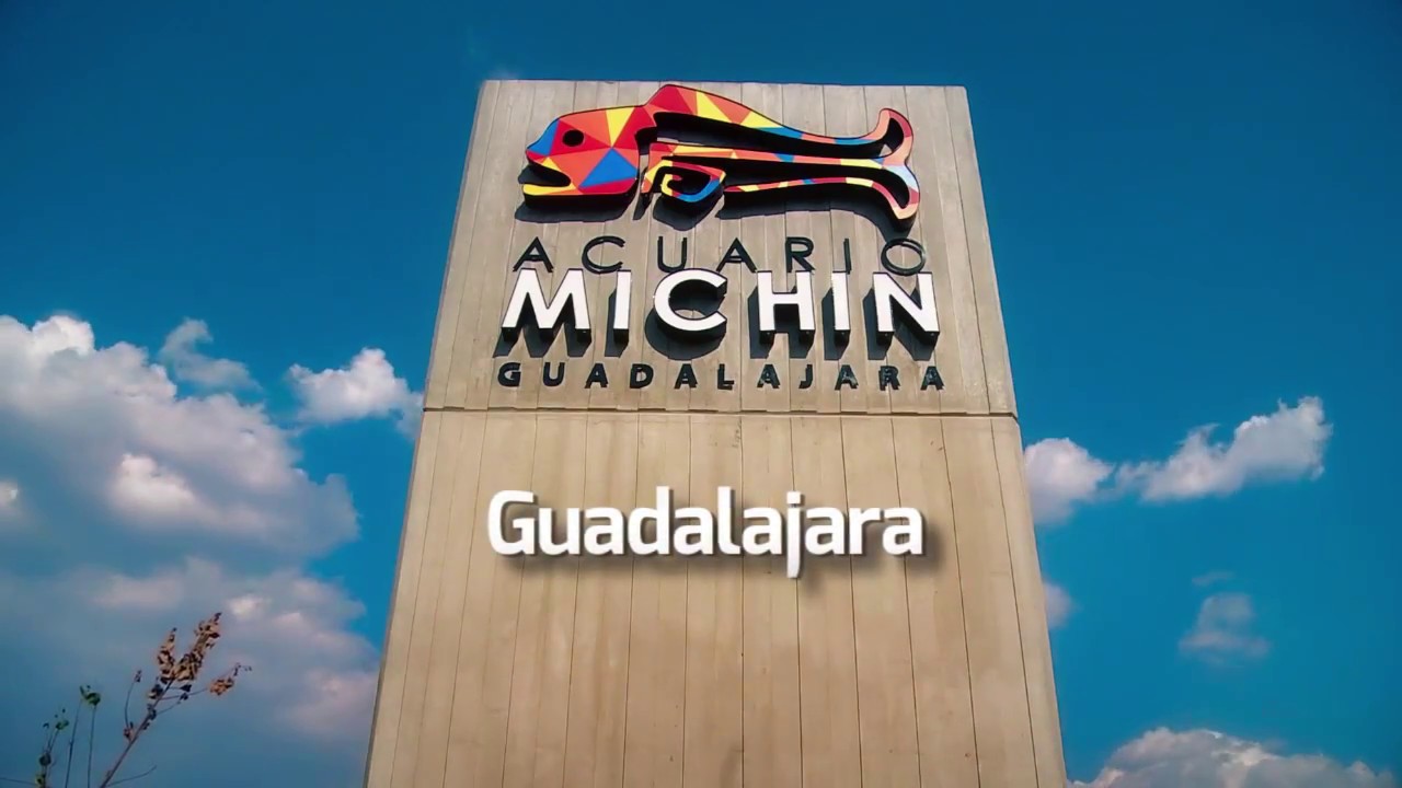 Acuario Michin